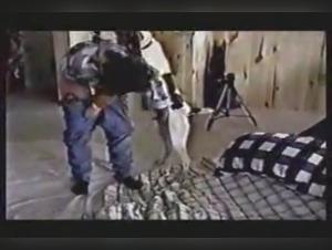 Intimate Video with a Dog