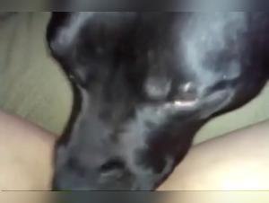 xxxanimal beastiality