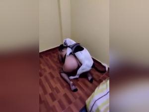 Unfaithful wife and dog: a shocking bestiality video
