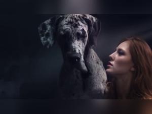 Bestiality Video: An Extreme Experience