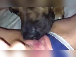 Bestial encounter: woman and dog