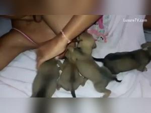 Video of zoophilia: a female dog submissive to her canine master