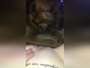 Bestiality: A girl and her German dog