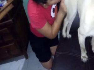 Video of Sex with a Dog