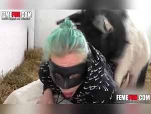 Bestiality: a submissive woman and a dog