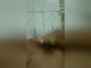 Feline Fantasies: A Thrilling Exploration of Bestiality and Desire