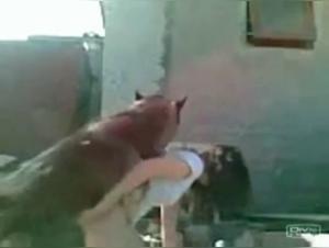 Hermosa morena cede a sus deseos con perros callejeros