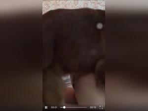 Asian woman and her dog: a shocking zoophilia video