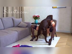 Bestiality with Dog: The New Passion for Lovers