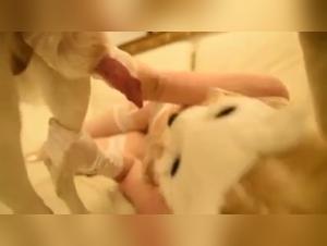 Mujer blanca y perro en video de sexo bestial