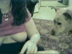 Bestial sex: an intense and unique experience