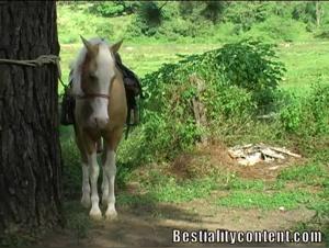 Pushing Boundaries: Exploring Bestiality