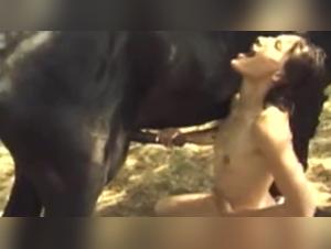 Fentes de Poney: Una escena erotica y salaz de un pony empapado por una putas