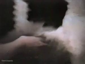 Bestiality sex video: a woman and a dog