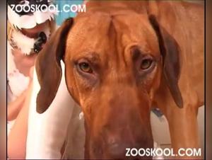 La Seduccion Bestial: Los Machos abatiendose por Cerdos