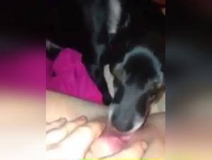 Bestial and intense encounter: A woman and her dog