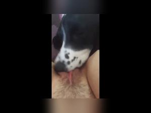 forbidden beastiality explorations