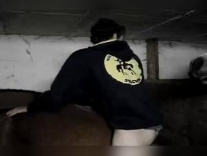 Bestiality: A man and animals in new situations