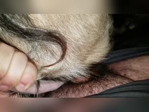 Fuck Goat: An Extreme Sexual Experience