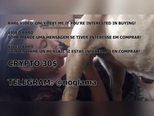 Exclusive Zoo Tube Content - Access via Telegram