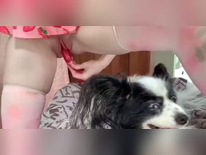 pink cherrypop pt.1 zooxhamster art