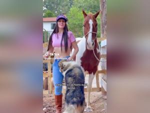 Sex with Dogs Videos - Extreme Bestiality