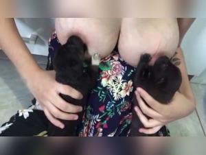 Feline and Canine Intercourse: A Rare Zoophile Encounter