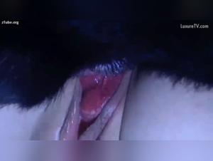 Deseos prohibidos satisfechos, Tickzoo