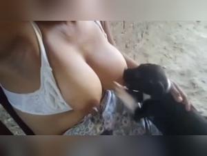 Bestiality video in 720p