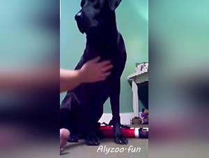 Zoo Skool : Defis Ethiques et Desir Explicite