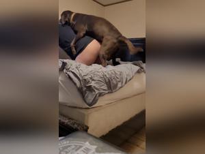 Hours of Pleasure: An Exploration of Bestiality