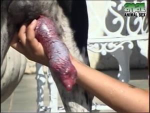 Milena and Her Brazilian Dog: A Bestial Encounter