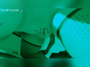 Forbidden Desires: Delving into Zoophilia