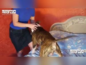 Bestiality with Mary - A Sex Story with a Dog