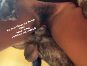 Suenos Prohibidos: Un Viaje a la Zoofilia