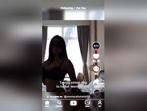 Stray Dog Encounters: An Unexpected Bond