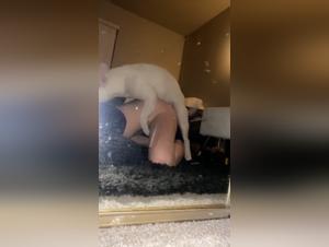 Bestiality: A woman and her dog