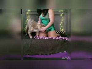 Hidden camera in the bedroom: a beastly encounter