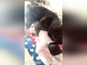 A Bestial Experience with a Dog