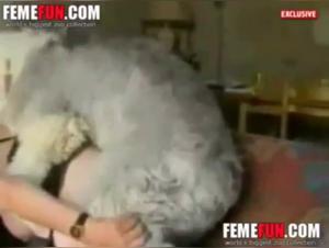 Unfaithful wife indulges in animalistic antics with a dog