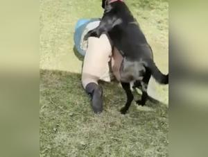 girl suck dog onlyfan zoo