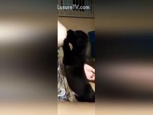 Zoophilia video: a woman is breastfed by a dog