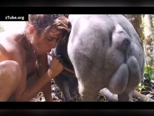 Dominio Felino: Videos XXX Donde las Gatas Putas Gobiernan