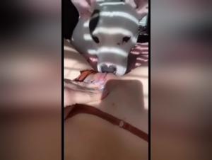 Une expérience bestiale unique: sexe avec un chien