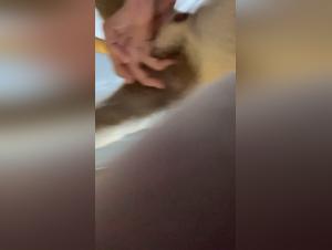 Exploring the Depths of Zoophilia