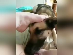 Submissive woman and dog: a shocking zoophilia video