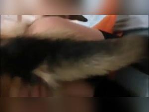 Asian woman and her dog: a breathtaking zoophilia video