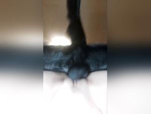 Femme et Chien: Une Scène Intime