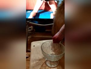 Dog Sex Video - Hardcore Bestiality