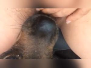 Dog fucked by a bitch: A woman wakes up to a dog's snout